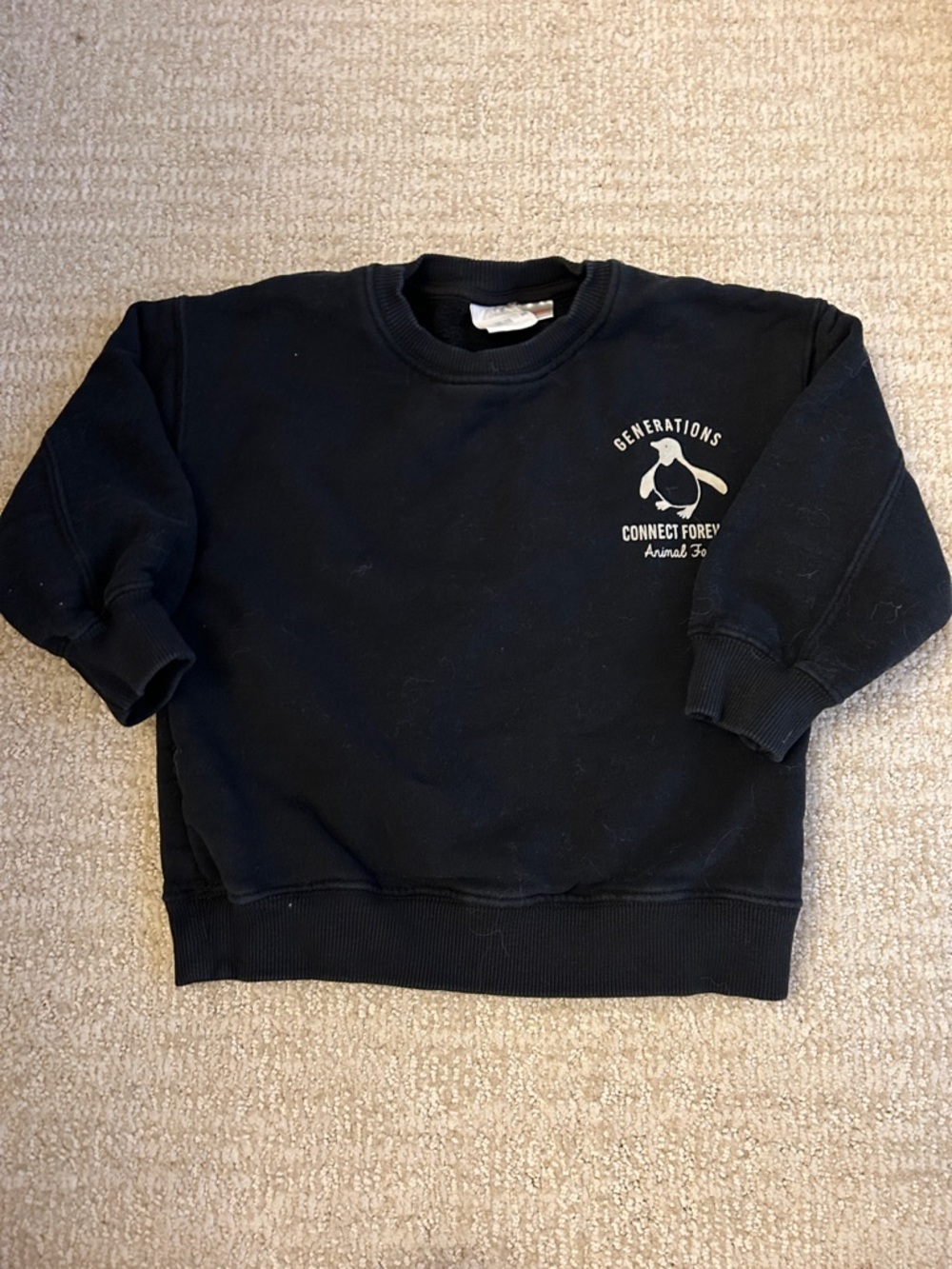 Zara toddler sweatshirt - Picture 3 of 4